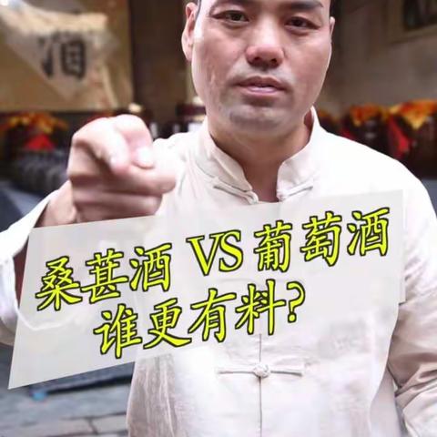 我家加酒去泡的桑葚酒方法。