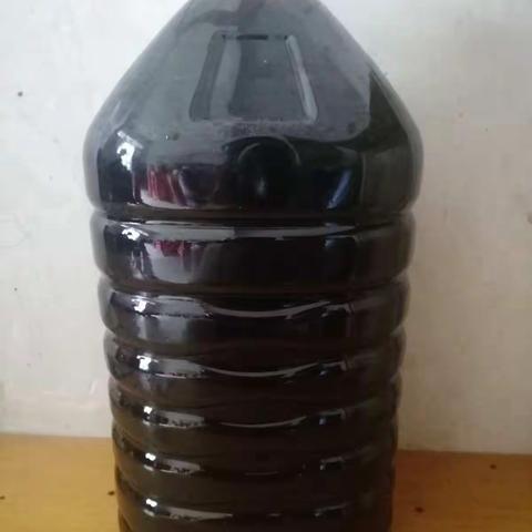 发酵桑葚酒的家庭方法