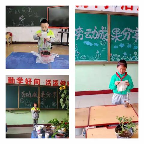崇尚劳动教育 分享幸福成果——区八校二年级组开展劳动教育成果展示活动