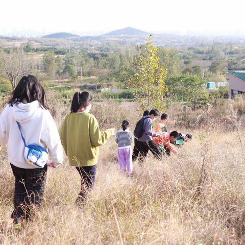 走进自然，跟着植物妈妈学办法｜学习共同体体验活动