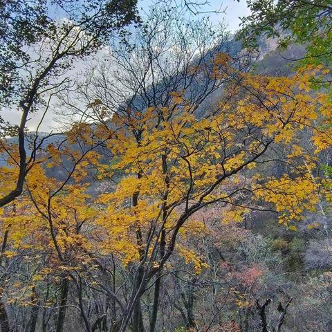 秋来驼梁-两界峰穿七女山