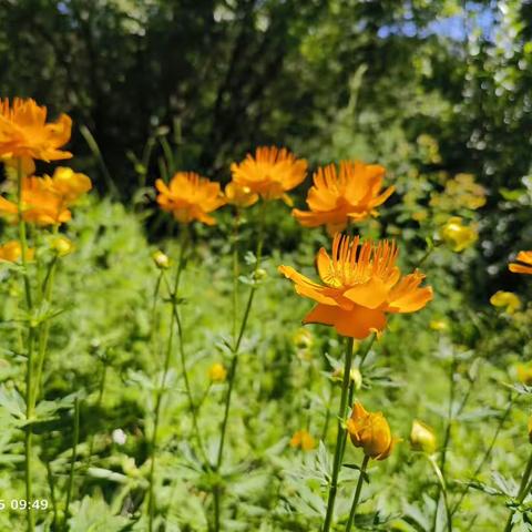 再游桃花界