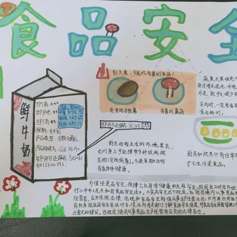 食品安全小报七年级生物下册