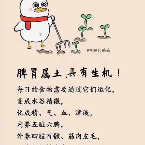 脾是生命之源，是后天之本