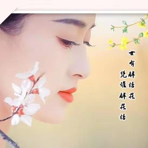 世有解语花🌸，无人解花语【二】