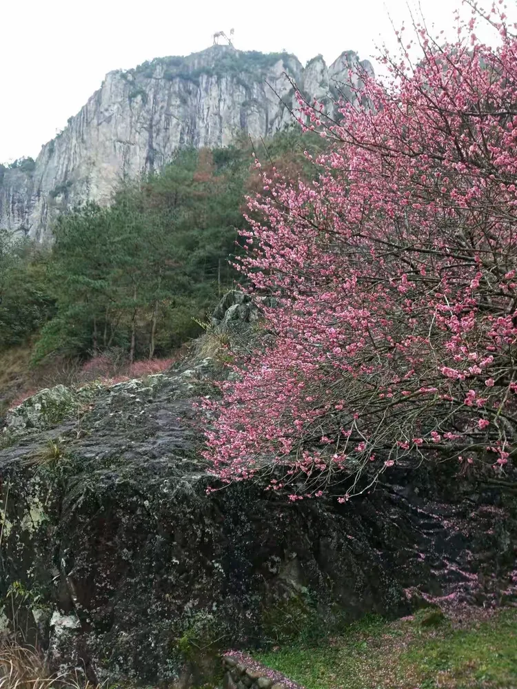 逍遥雁荡山醉美楠溪江之旅