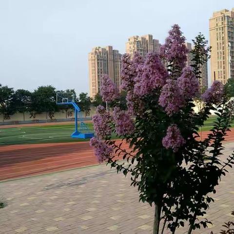 清河县第五中学疫期安全教育