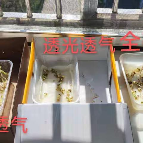 2.植物生长需要的条件