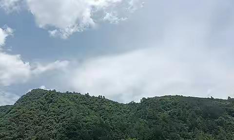 定格精彩时光，留“夏”童年记忆即毕业季