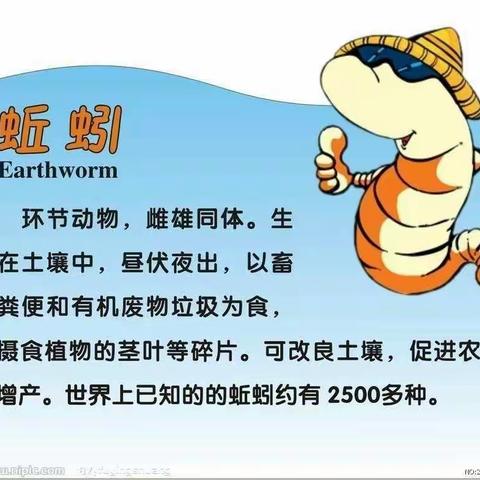 六年（3）班期刊    第一期