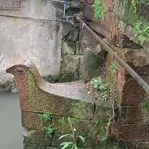 一条有故事的河——写在惠济河焕然一新之后