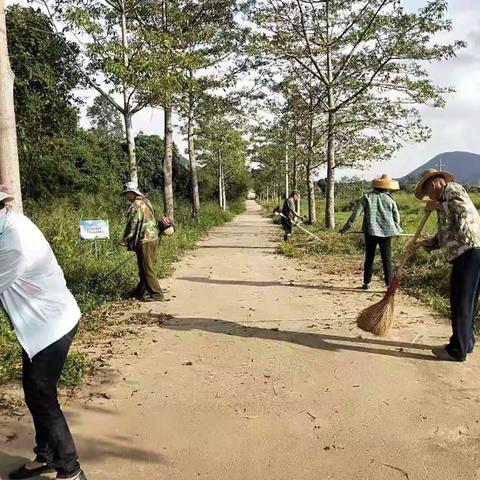 五丰村开展冬季爱国卫生运动喜迎“春节”