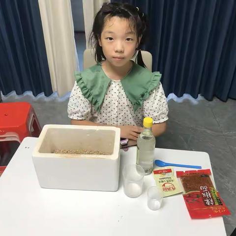 【Ailyの小实验】火山喷发