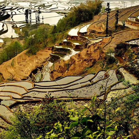 2014年去了一次云南元阳梯田和红土地。初学的摄影照片最近才整理。照的一般请朋友们分享一下了。先谢谢