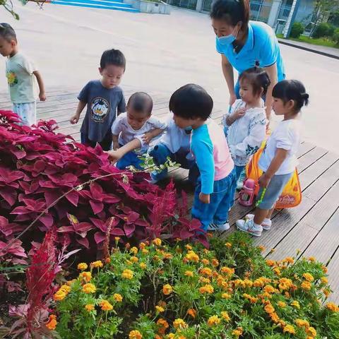 诺呗托育中心向日葵班一周集锦