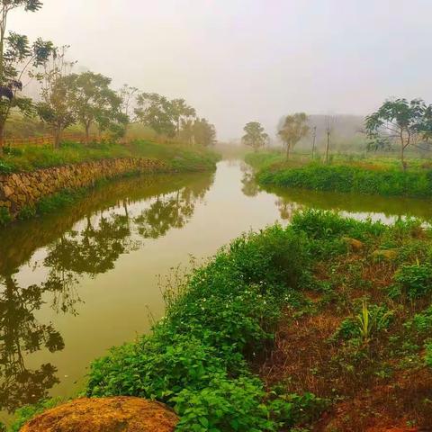 《浪淘沙·网》