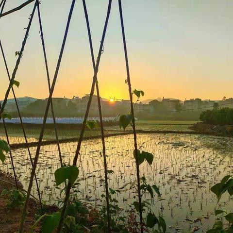 将军溪畔迎来人间四月艳阳天