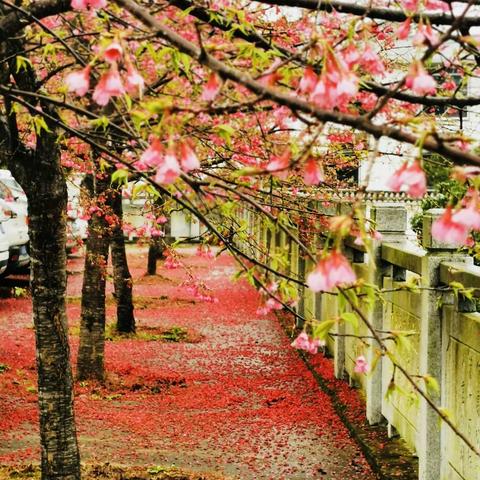 期初视导明方向 乘势而上促发展——中学教科研处到北峰中学视导