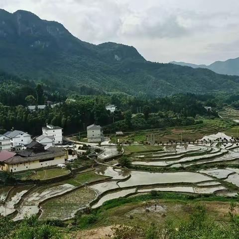 稼轩，辛弃疾词里写春秋