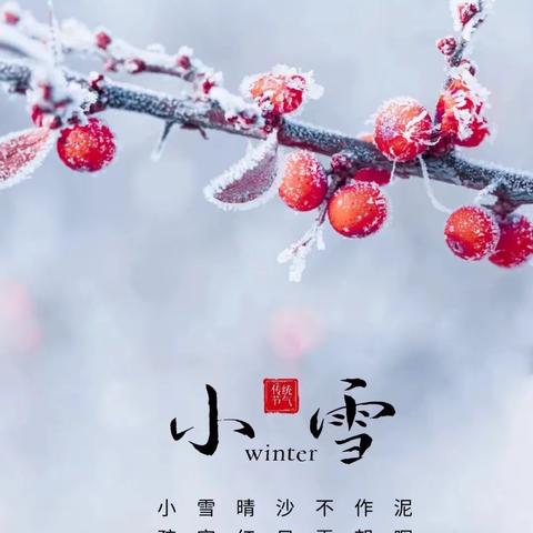 小雪到，冬始俏