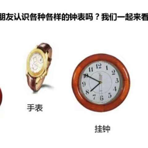 【微家园】金幼大班第二十期