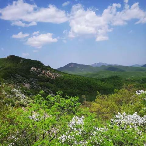 2022.4.10鳔池牛心山