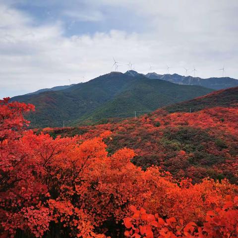 层林尽染·露宝寨