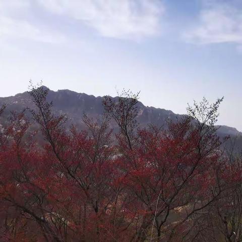 2022.04.01胡地天池山环线穿越