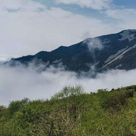 秦岭十峰 | 草链岭