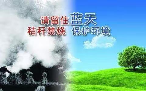 秸秆禁烧、捍卫蓝天——泰来三中党总支与汤池村共同吹响秸秆禁烧集结号