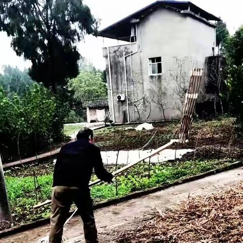 研读岁月的梿枷