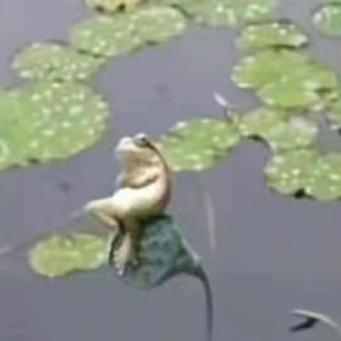 如此妙方(中华通韵)