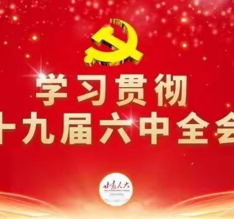 学习贯彻党的十九届六中全会精神