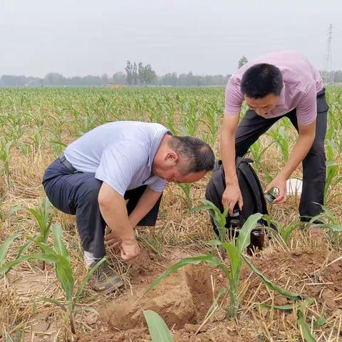 河北省环境监测中心对魏县进行土壤采样