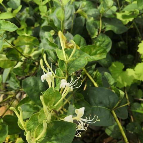 扶贫    我们一直在路上