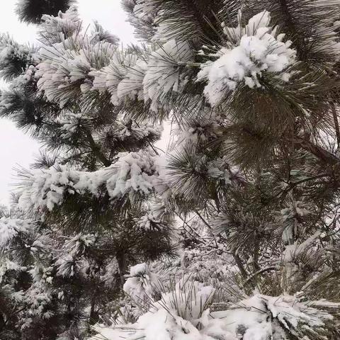 2019年第一场雪