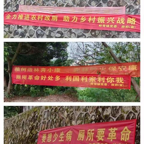全力推进农村改厕，助力乡村振兴战略