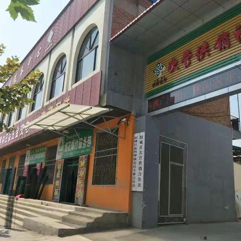 探索的脚印