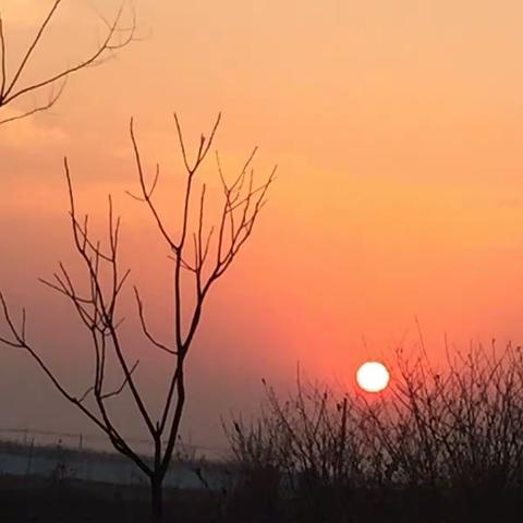 美无处不在，只是有时我们视而不见！