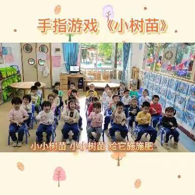 东方红幼儿园小一班10、11月小结（二）