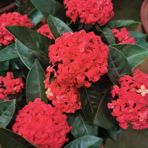 十月教育随笔（一）