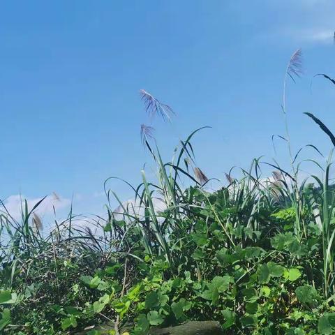 读《教育的情调》心得体会