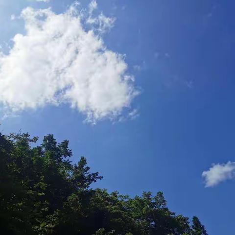 十月教育随笔（二）