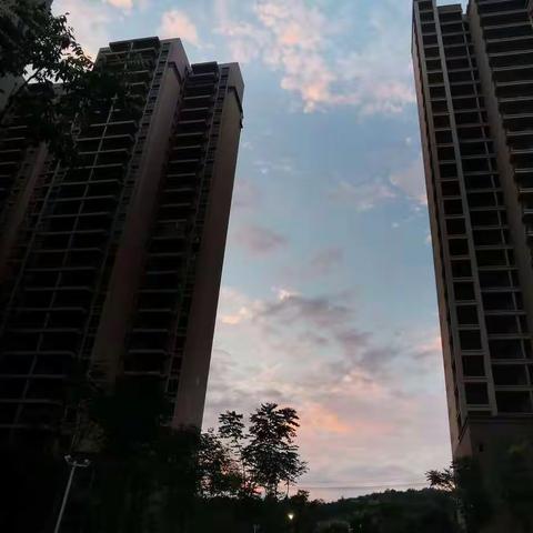 十一月教育随笔（二）