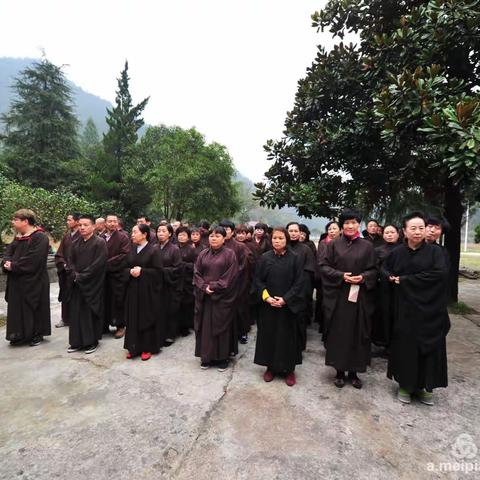 建德市寿昌县广化寺苍南雨花斋、天津扬柳青雨花斋联根