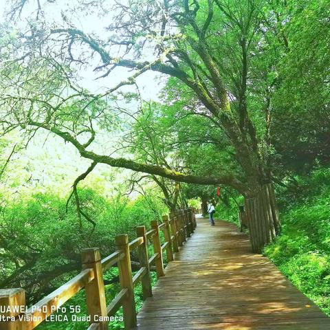 甲居藏寨，碉楼