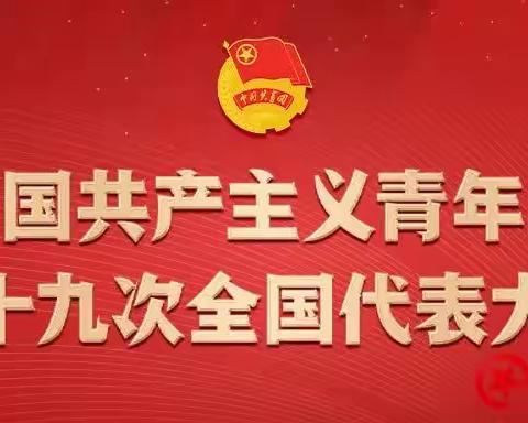 学习共青团十九大精神，凝聚青春力量