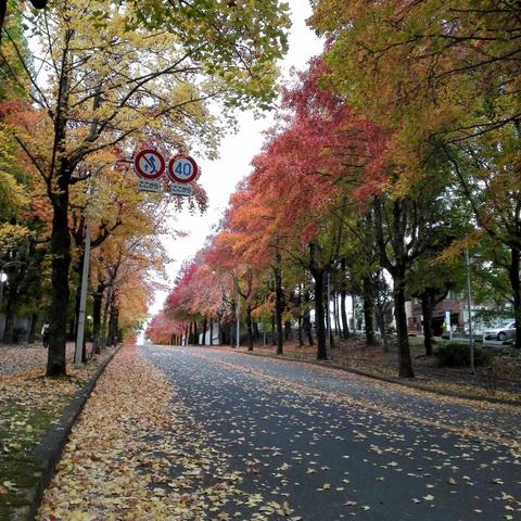 三色彩道