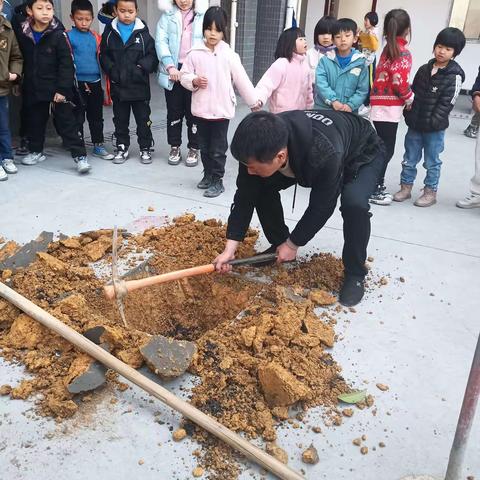 南阳完小植树忙，春日绿化添新装