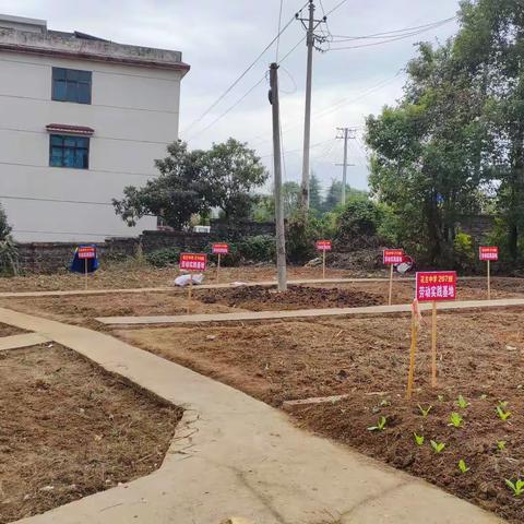 齐心协力开荒地，劳动实践育品德——花古中学劳动实践基地建设